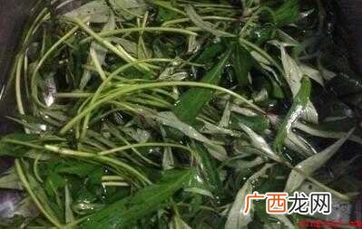 红薯叶的做法步骤是怎样的 怎么炒番薯叶好吃