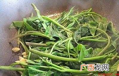 红薯叶的做法步骤是怎样的 怎么炒番薯叶好吃