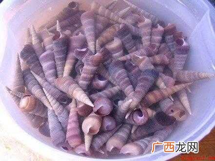 日本炒钉螺的做法有哪些 怎么炒钉螺
