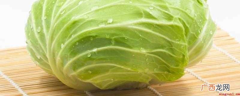 卷心菜,杏鲍菇,盐油适当 怎么炒卷心菜好吃