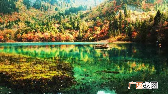 什么样的风景,什么的日月潭风景优美填空？
