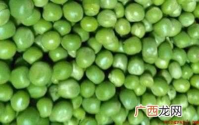 麦豆苗期根茎较差,播后忌田里淹水,要挑选排水管道优良、渗透性 麦豆怎么炒