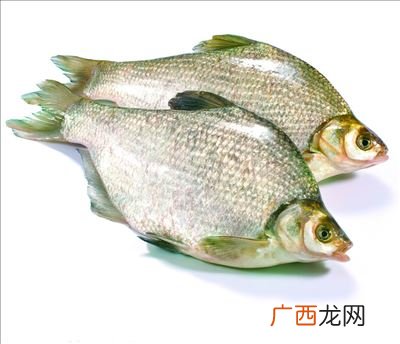 鳊鱼是什么鱼,鳊鱼习性和口味？