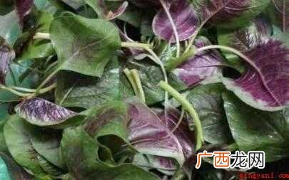 红菜300克,适量油盐。 红菜怎么炒