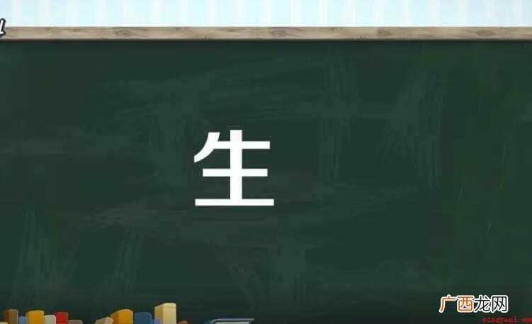 生字组词有哪些