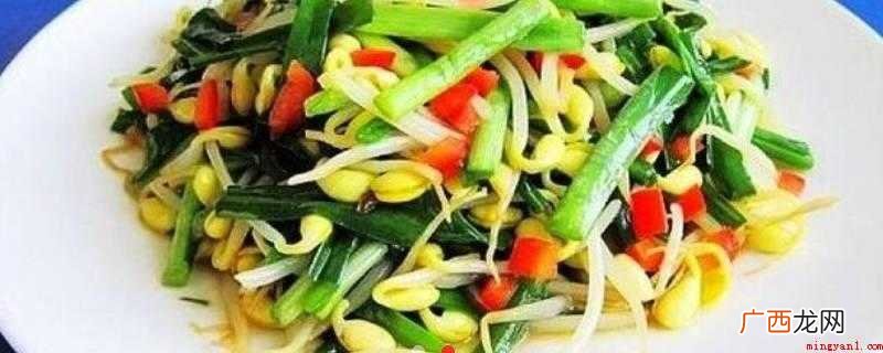 黄豆芽、韭菜、植物油、盐、姜、味鲜、蚝油、红柿子椒 菲菜怎么炒好吃