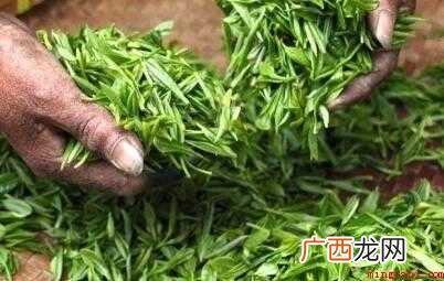 茶叶怎么清理?_健康频道 怎么炒绿茶
