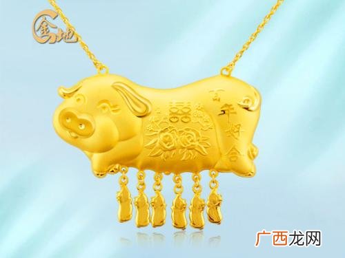 黄金金猪的寓意,金光闪闪指什么生肖？