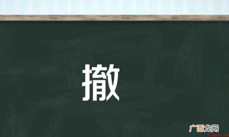关于撤的组词有哪些 撤的组词有哪些