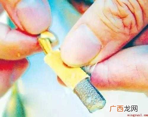 大闸蟹在食用前如何处理