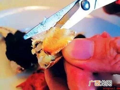 大闸蟹在食用前如何处理