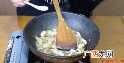 蒙古草原上的白色伞菌属野生菌 炒口蘑怎么做
