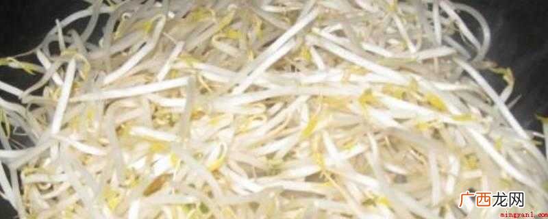绿豆芽的做法_健康频道 绿豆芽怎么炒