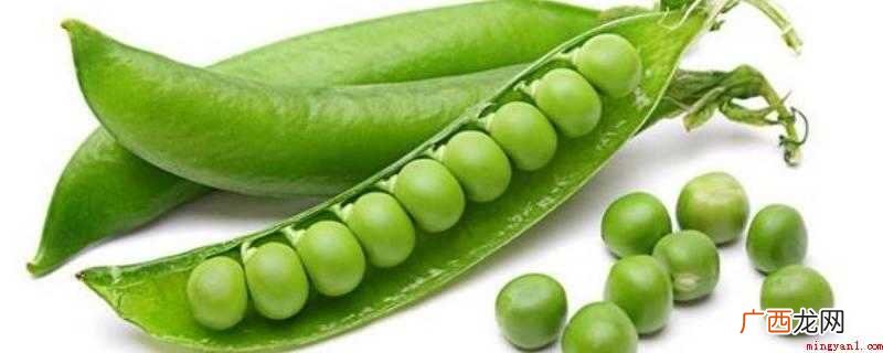 冷冻豌豆可以保存两到三天,但是依然要尽快服用 豌豆冷冻可以保存多久