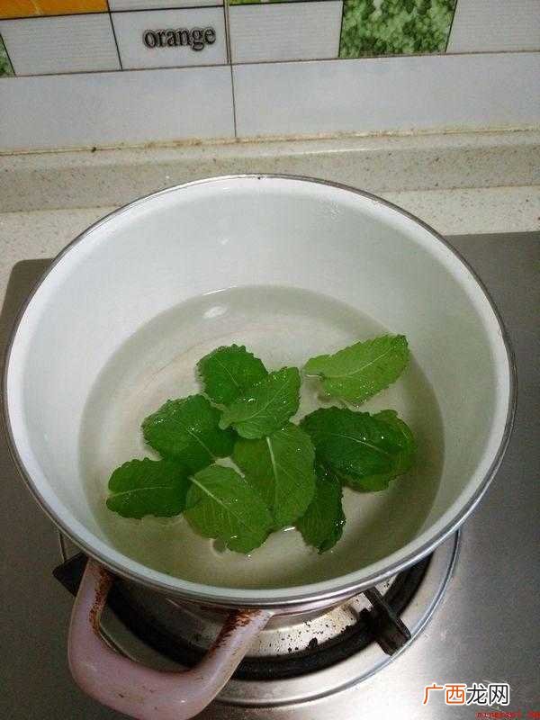 薄荷汤作法如下所示 薄荷汤怎么做好吃