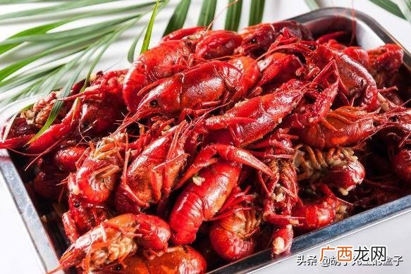 龙虾的来历龙虾的由来,小龙虾是怎么来中国的？