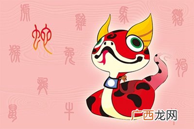 2022属什么,2022属什么的年？