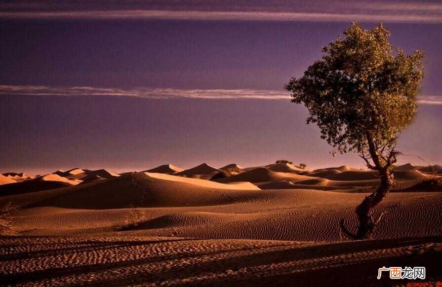 倔强的造句有哪些