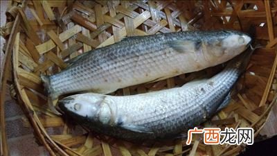脆肉皖鱼是属于什么鱼是草鱼么,脆肉罗非和脆皖鱼区别？