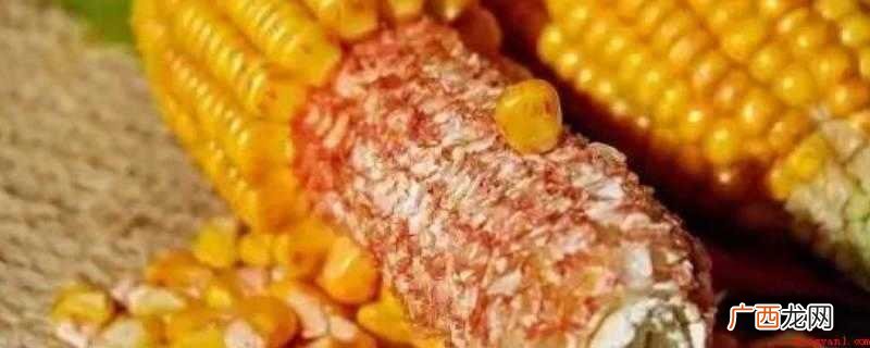 猪肉的做法,简单又好吃 嫩玉米棒芯怎么吃