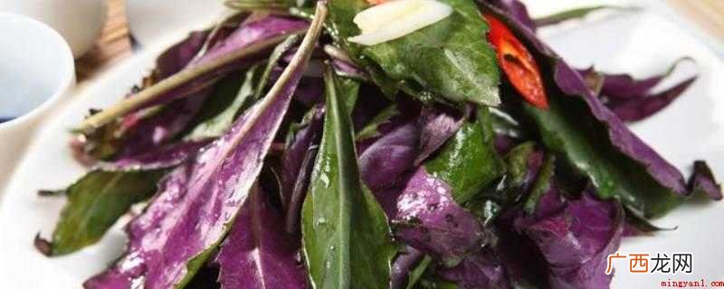 人汉菜又叫荠菜,做法简单 人汉菜怎么做好吃