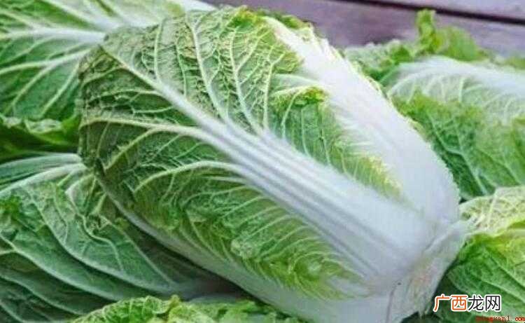 白菜馅的饺子怎样做