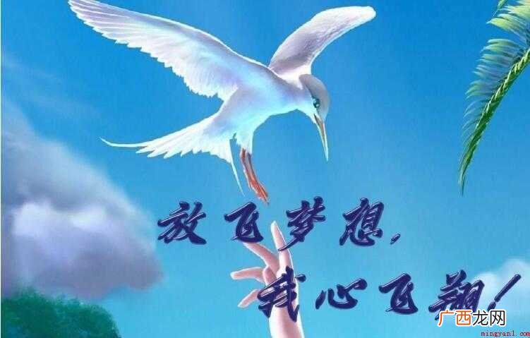 放飞梦想的励志句子有哪些