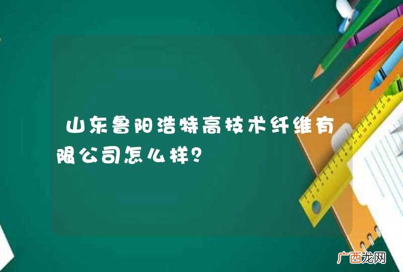 山东鲁阳浩特高技术纤维有限公司怎么样？