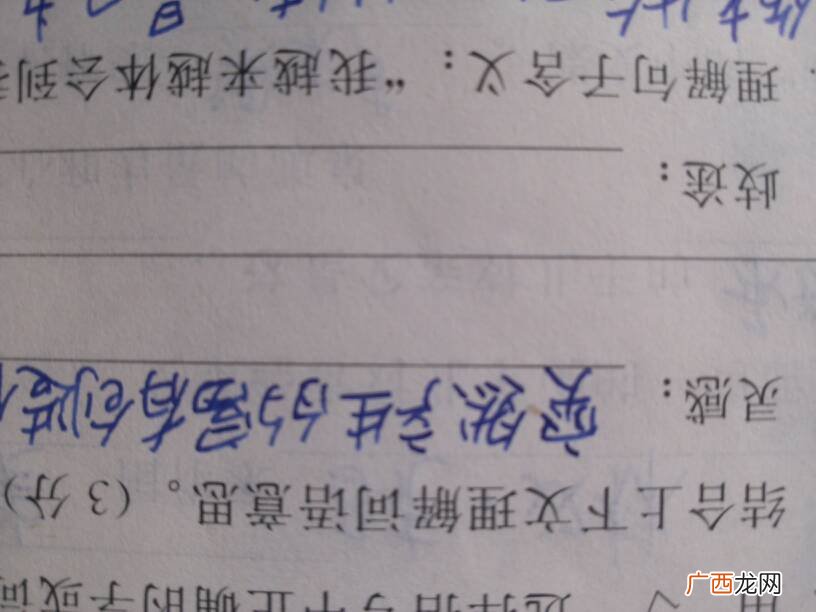 歧途的歧的意思,歧途中的歧什么意思？
