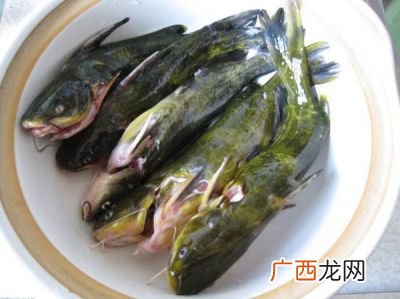 黄辣丁多少钱一斤,黄辣丁和鮰鱼哪个贵？