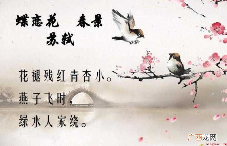 苏轼的《蝶恋花·春景》原文是什么