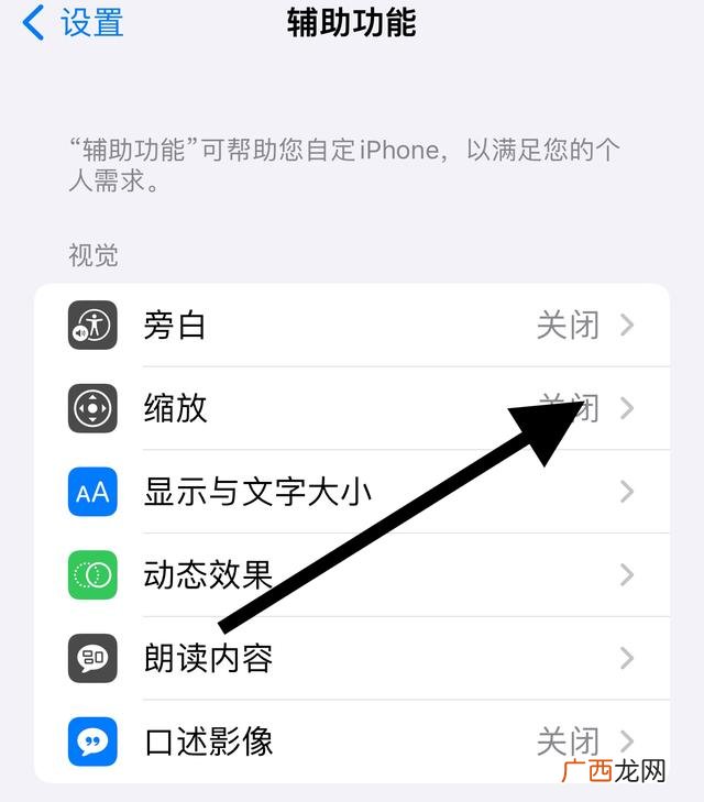 苹果放大镜怎么开,iOS放大镜怎么开启？