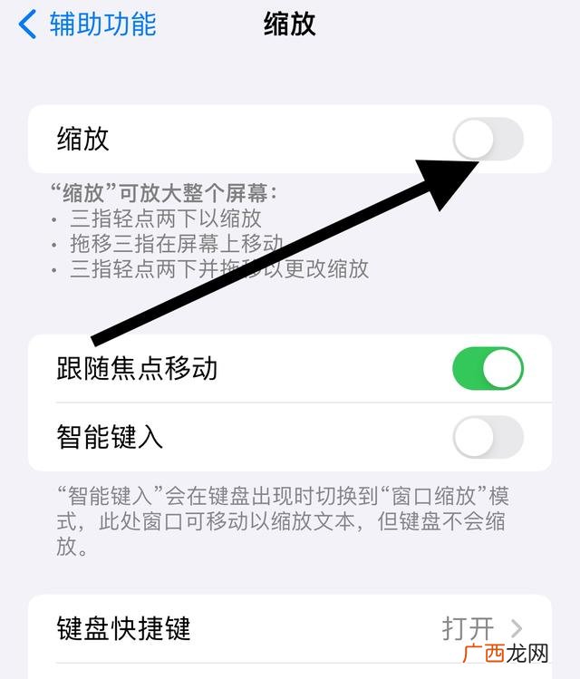 苹果放大镜怎么开,iOS放大镜怎么开启？