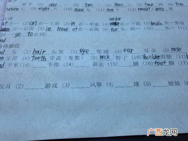 肩膀英语怎么读,英语单词shoulder是什么意思?