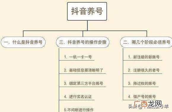 抖音怎么养号,抖音养号有哪些禁忌？