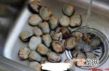 辣炒花蛤的做法是什么