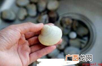 辣炒花蛤的做法是什么