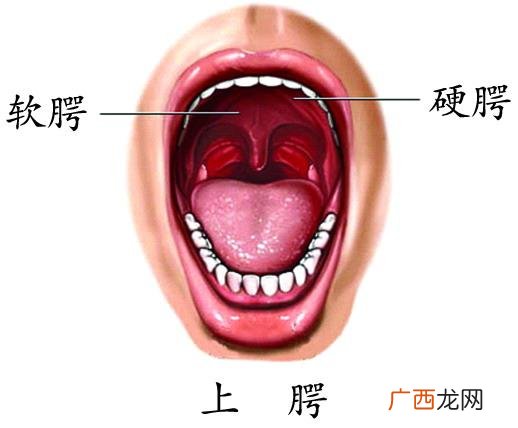 两颌是什么地方,“颌”的读音是什么？