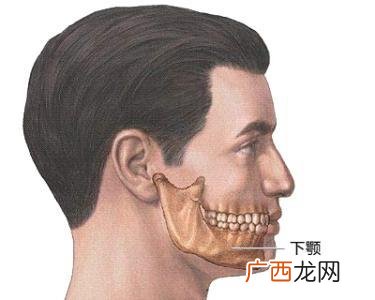 两颌是什么地方,“颌”的读音是什么？