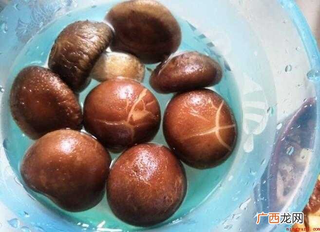 素炒大粗蘑菇,做法简单 大粗蘑菇怎么炒好吃