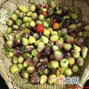 生抽泡小彩椒方式 彩椒种植技术 小彩椒怎么泡制方法