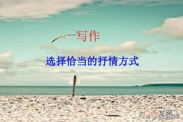 直接抒情是什么意思,一般抒情手法有哪些？