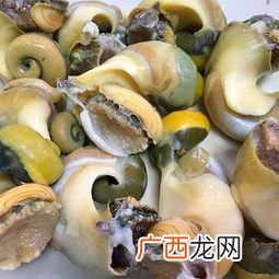 海螺怎么做好吃啊,海螺怎么做才是最简单最好吃?