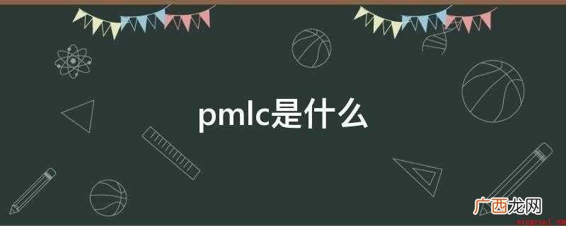 大学生论文联合对比库可以检测到以前学生的本科毕业论文 pmlc是什么