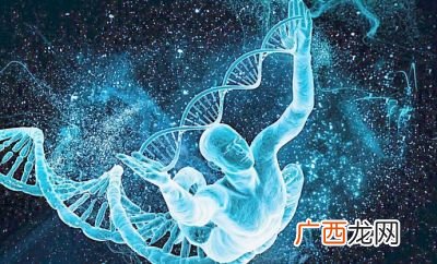基因的本质是什么,什么是基因重组的本质？