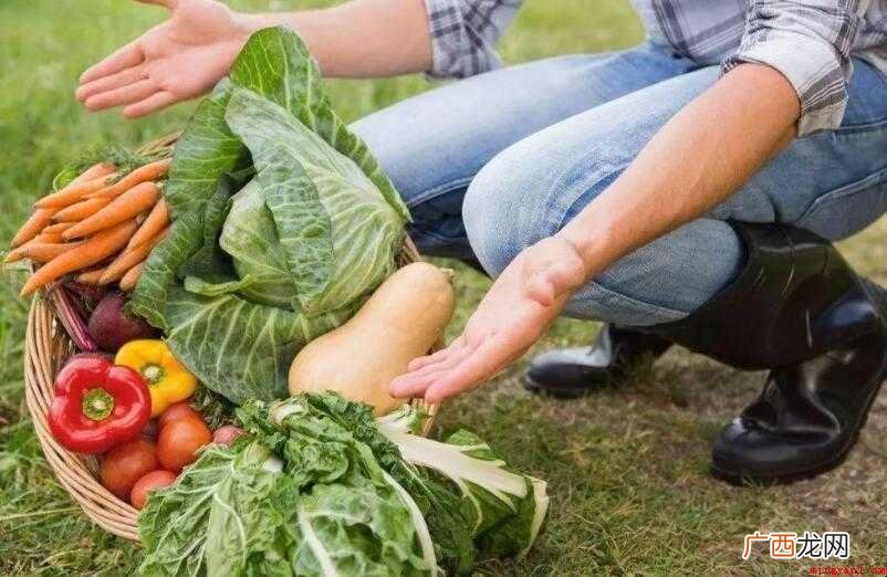 提供的近义词有哪些内容 提供的近义词有哪些