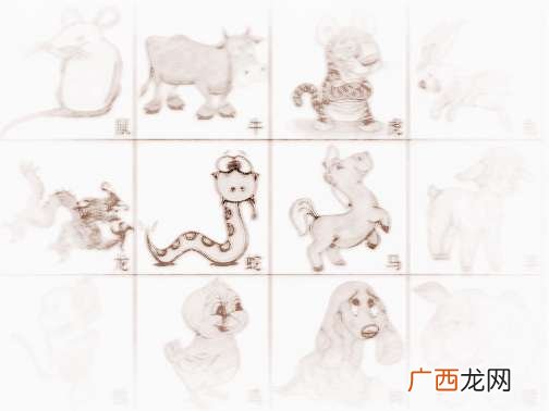 巳时属什么生肖,12时辰亥时属什么？