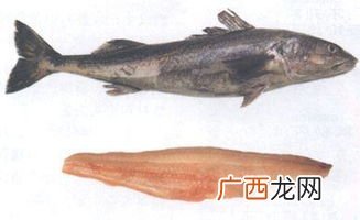 黑鳕鱼是什么鱼,黑鳕鱼跟银鳕鱼哪个更适合婴儿吃？