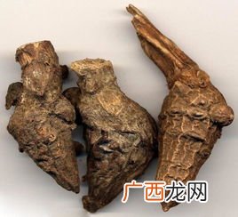川乌和草乌有什么区别,草乌别名？