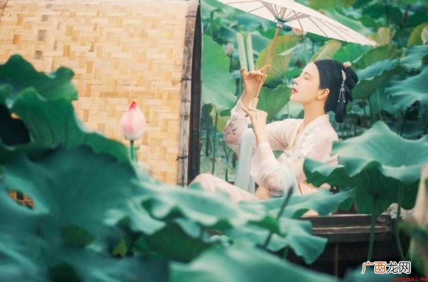 苏幕遮·燎沈香讲述了什么情感 《苏幕遮·燎沈香》讲述了什么情感